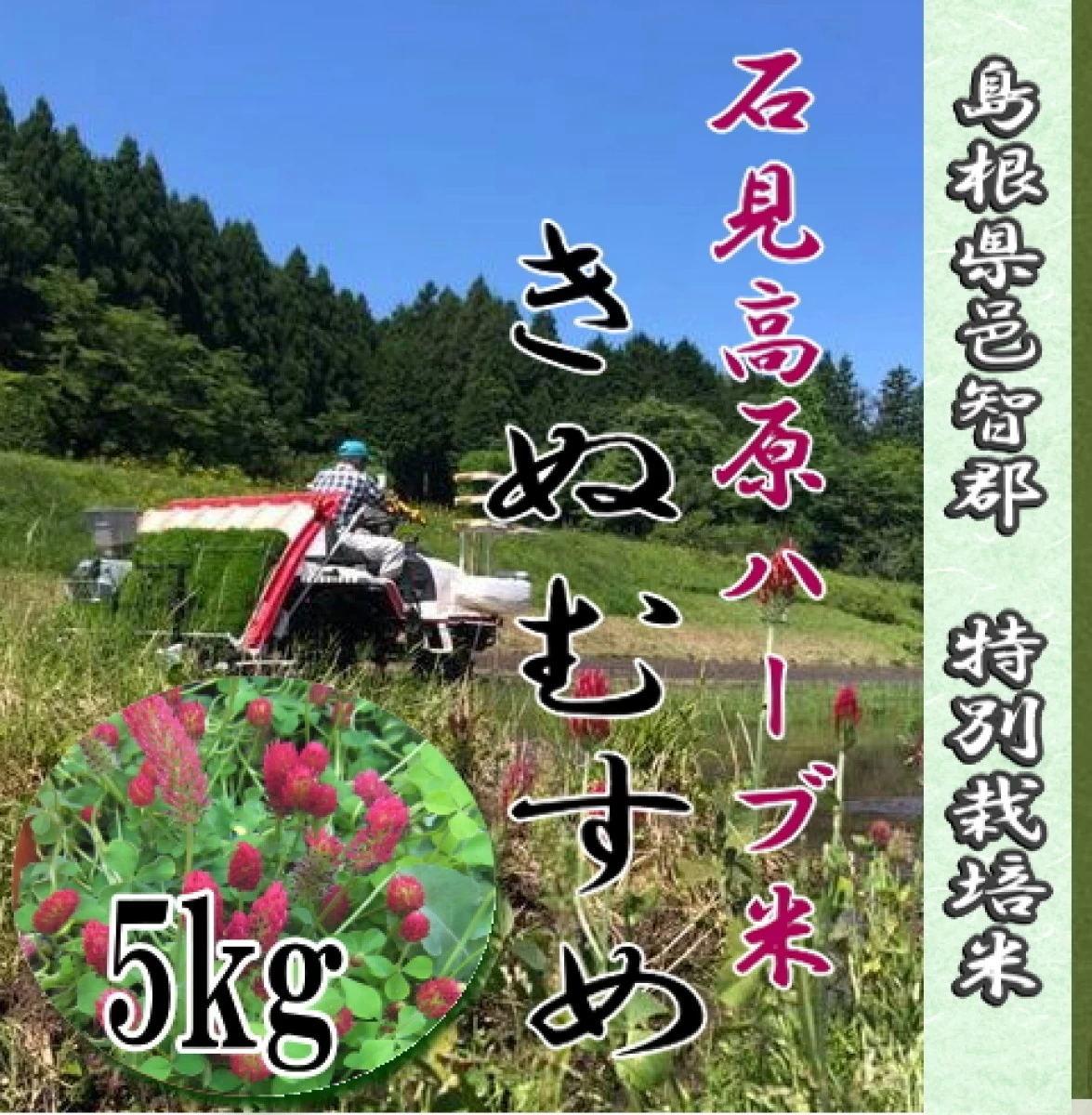 【新米】令和5年産/お米5kg / 石見高原ハーブ米きぬむすめ　特別栽培米