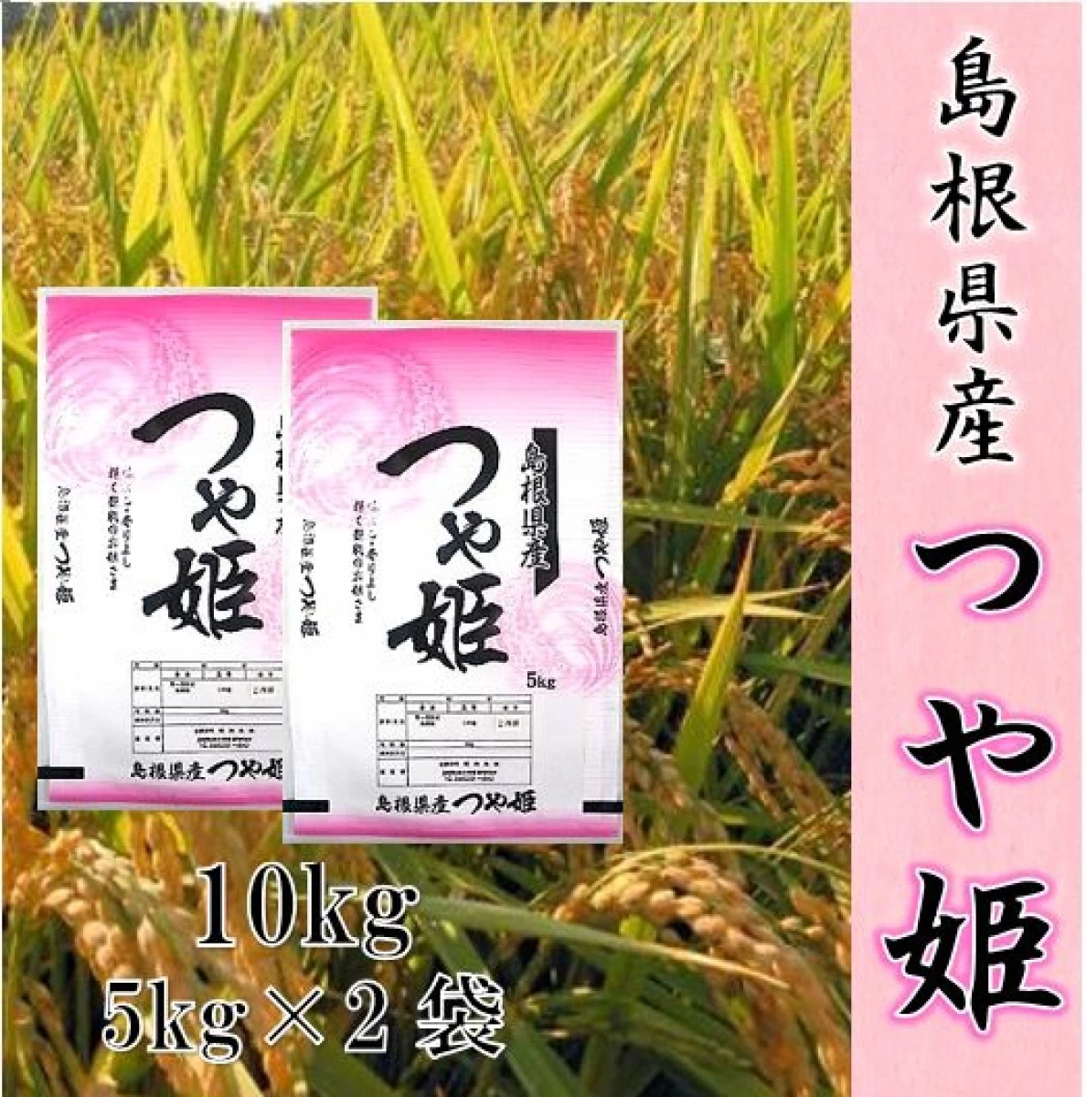 【新米】令和６年産　お米10kg 島根県産　つや姫　1等米