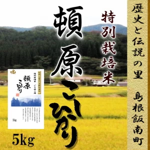 令和4年産　お米5kg 特別栽培米　島根県　飯南コシヒカリ　 1等米
