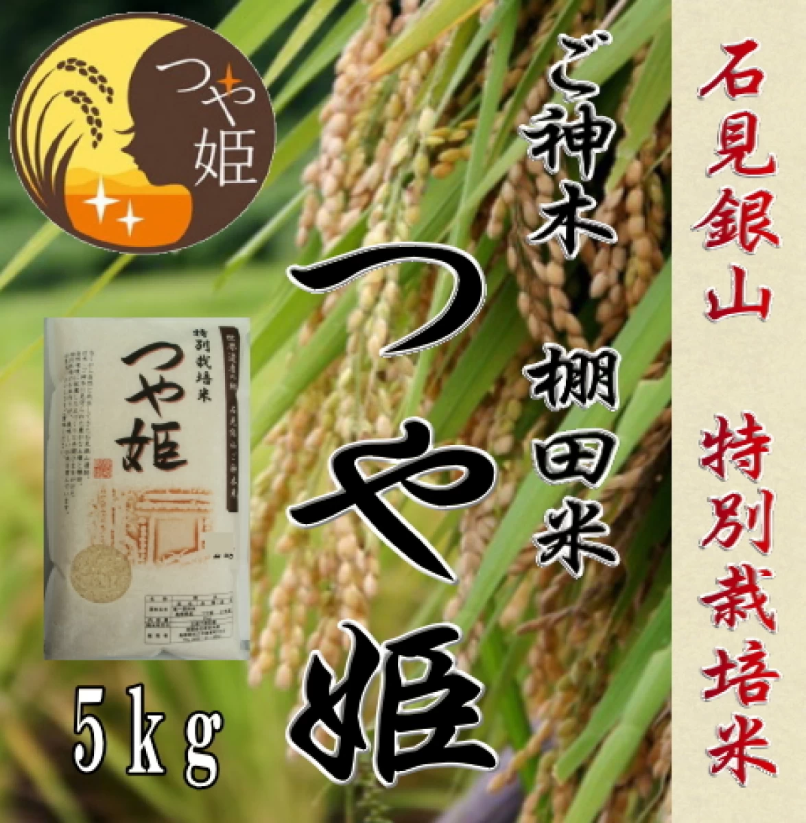 令和5年産　数量限定お米5kg / 石見銀山巨木ご神木　棚田米　つや姫特別栽培米1等米