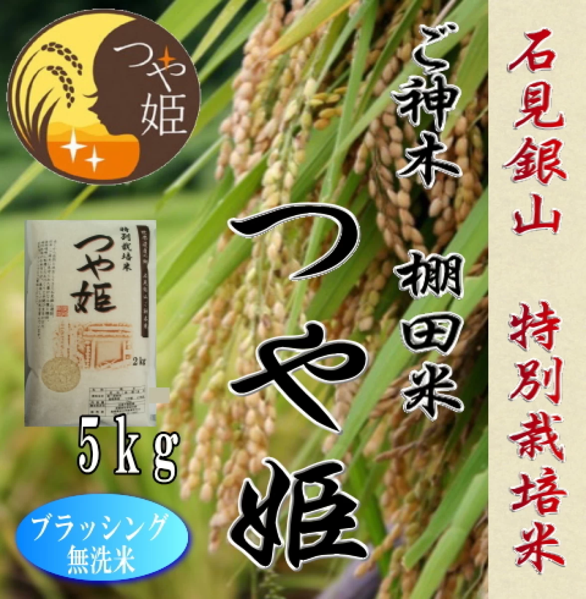 令和5年産　無洗米　数量限定5kg / 石見銀山巨木ご神木　棚田米　つや姫特別栽培米1等米